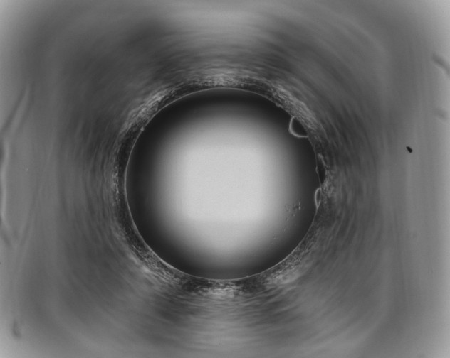 X0000098010306200803281318