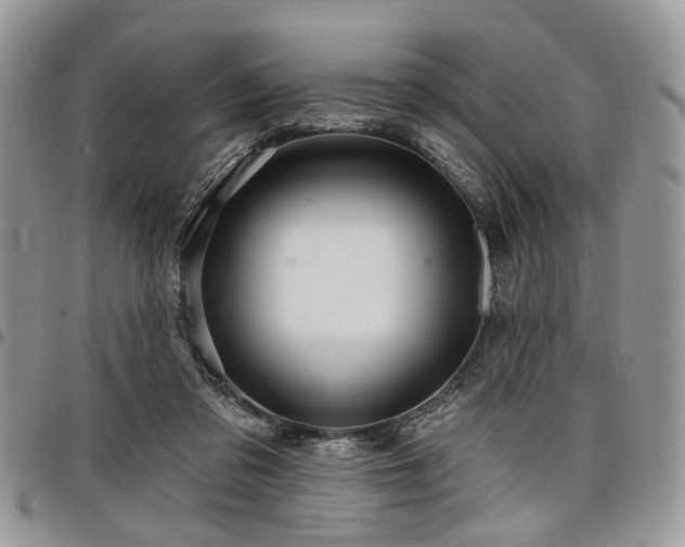 X0000098010309200803281318