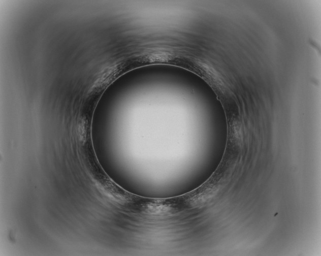 X0000098010311200803281318