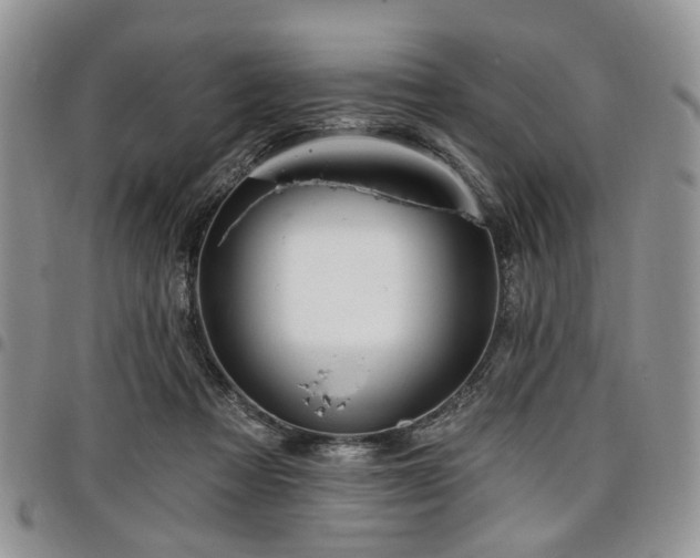 X0000098010313200803281318