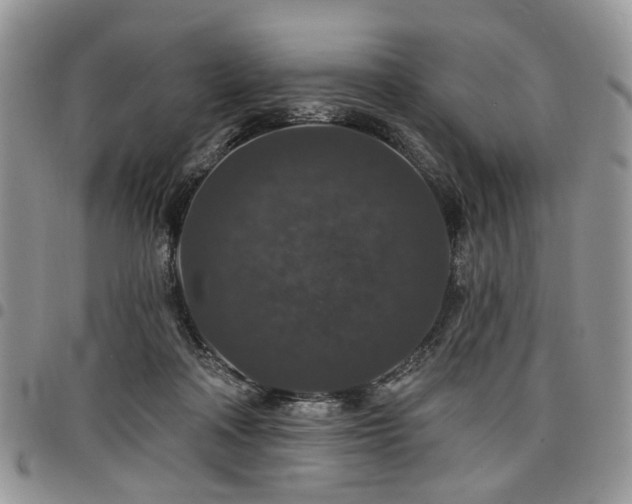 X0000098010314200803281318