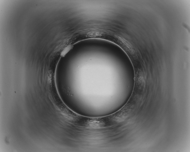 X0000098010315200803281318