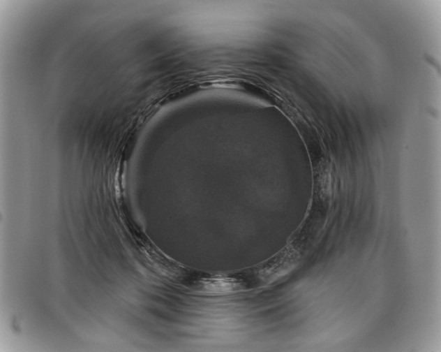 X0000098010316200803281318