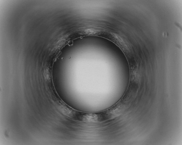 X0000098010317200803281318