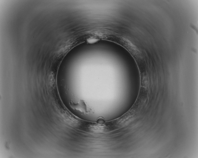 X0000098010318200803281318