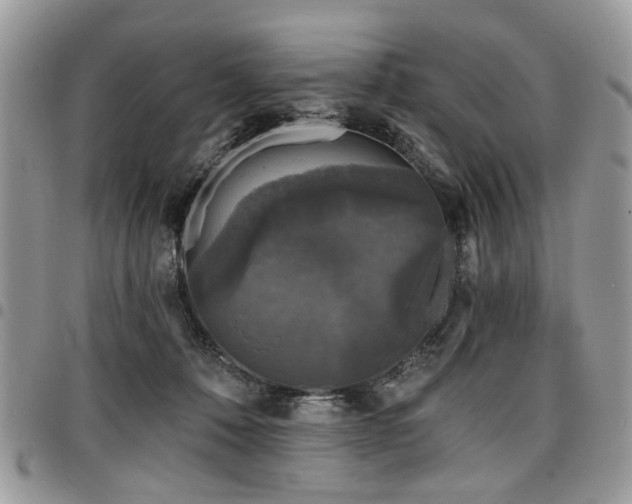 X0000098010320200803281318