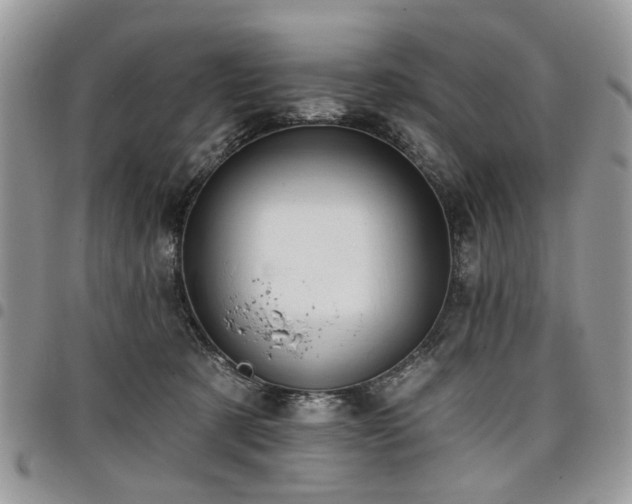 X0000098010321200803281318