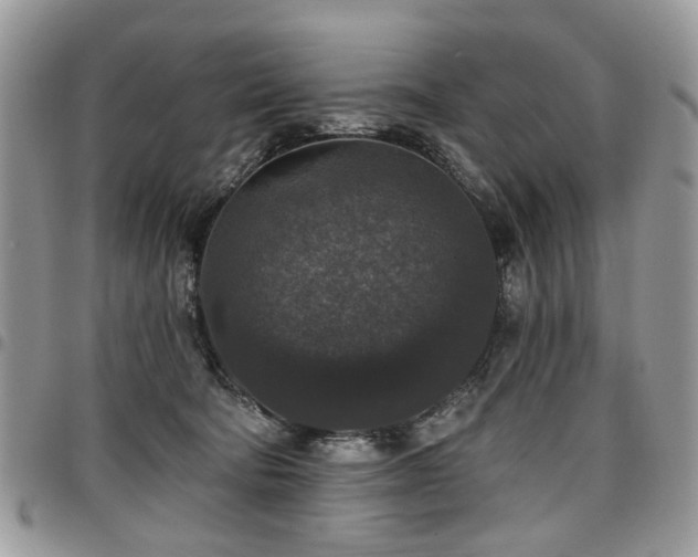X0000098010322200803281318