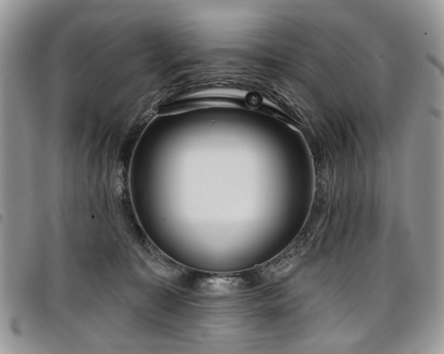 X0000098010323200803281318