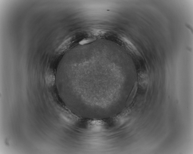 X0000098010324200803281318