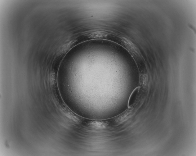X0000098010326200803281318