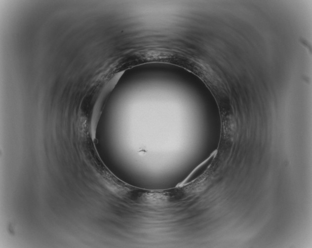 X0000098010327200803281318
