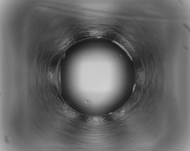 X0000098010329200803281318