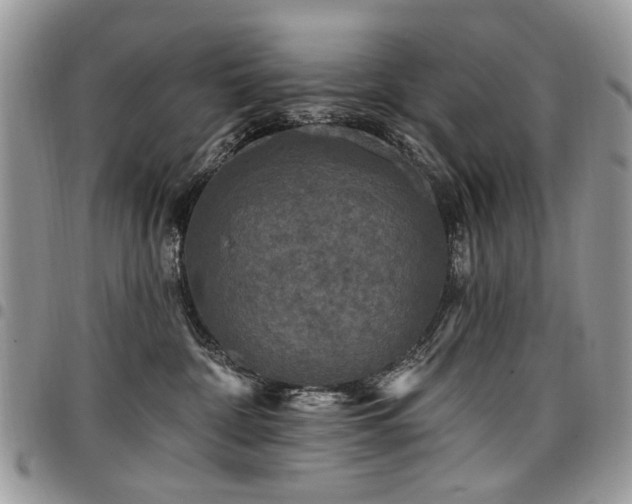 X0000098010332200803281318