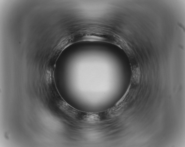 X0000098010333200803281318