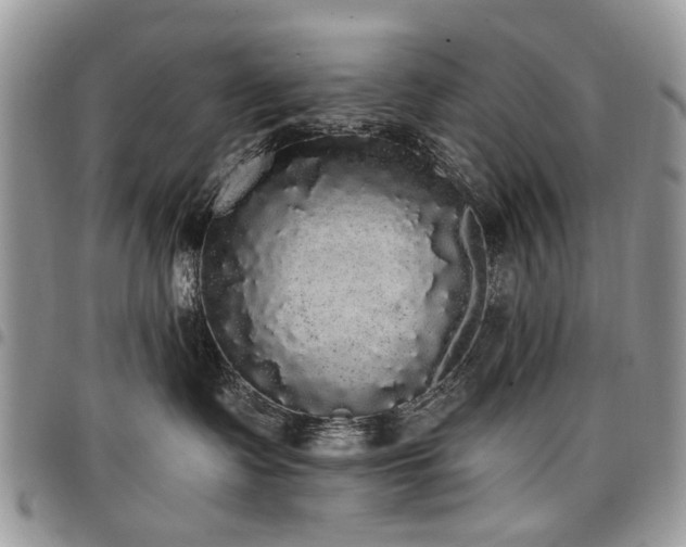 X0000098010335200803281317