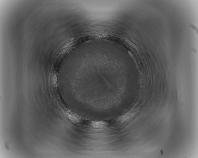 X0000098010336200803281317