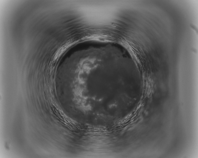 X0000098010337200803281317