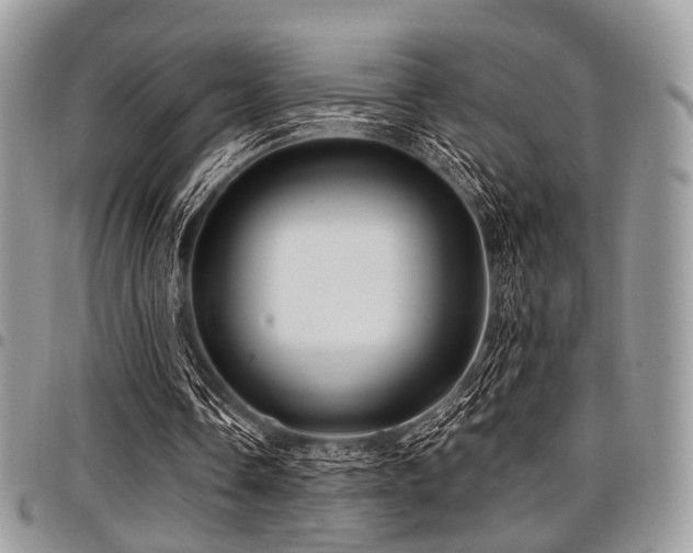 X0000098010338200803281317