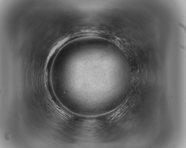 X0000098010342200803281317
