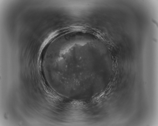 X0000098010343200803281317