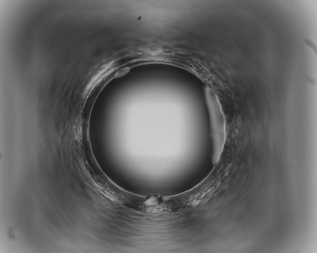X0000098010344200803281317