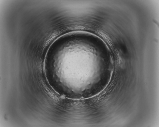 X0000098010345200803281317