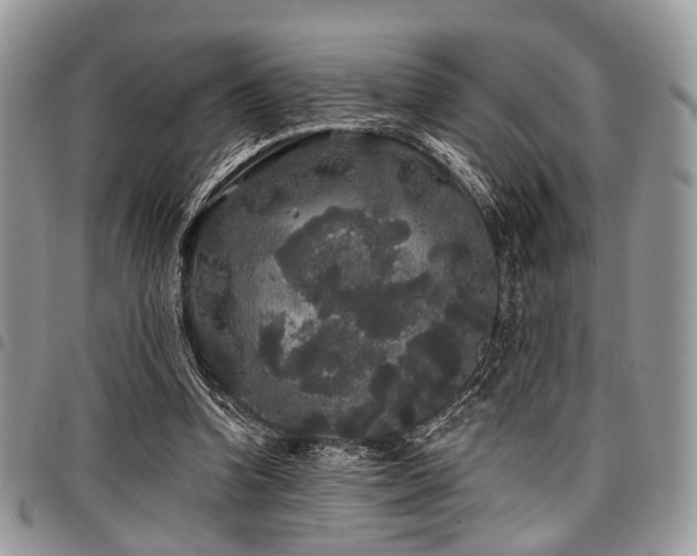 X0000098010346200803281317