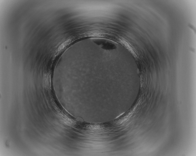 X0000098010349200803281317
