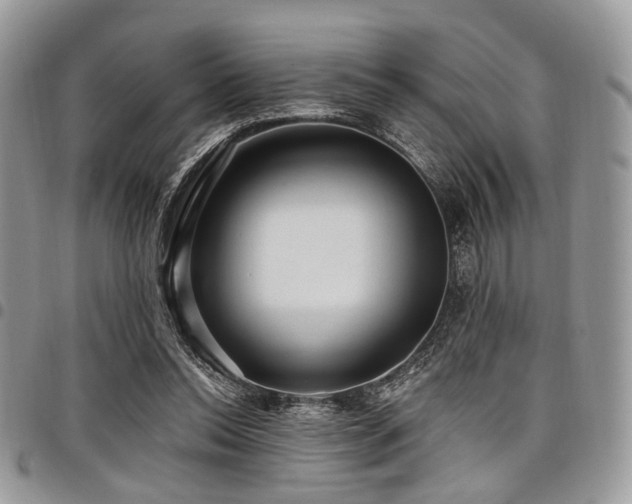 X0000098010350200803281317
