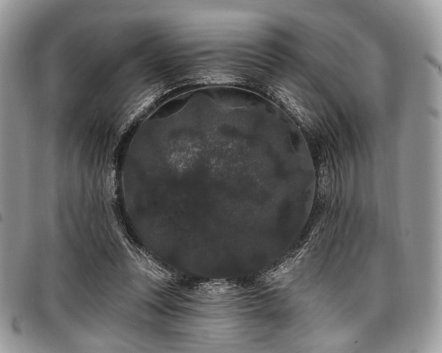 X0000098010351200803281317