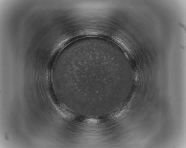 X0000098010352200803281317