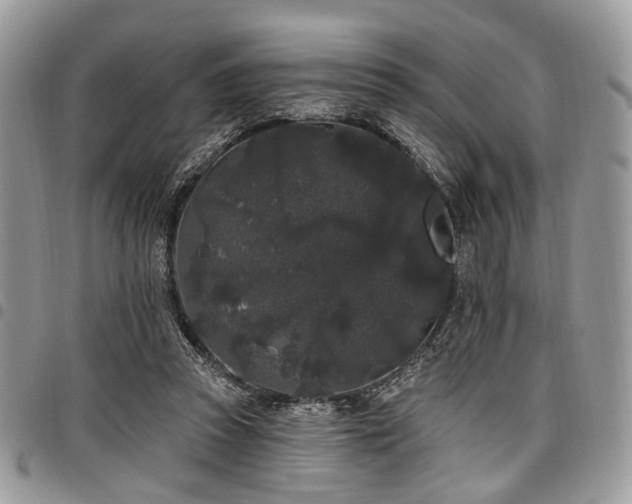 X0000098010353200803281317