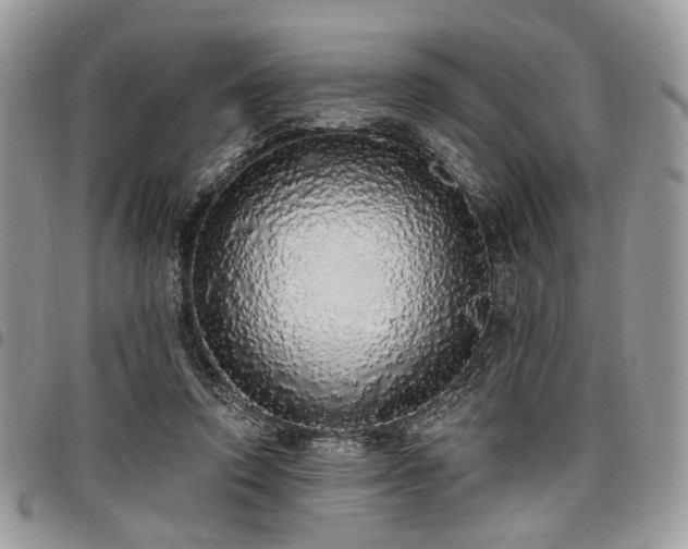 X0000098010354200803281317