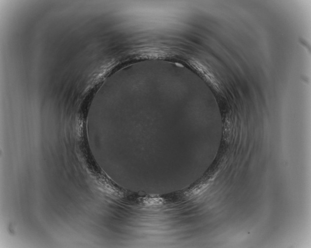 X0000098010355200803281317