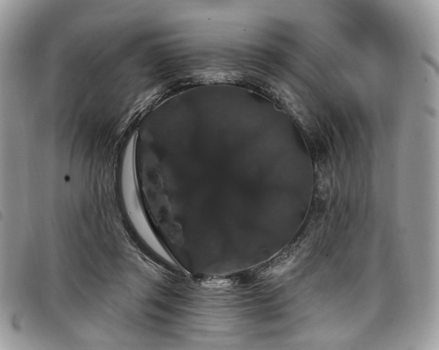 X0000098010357200803281317