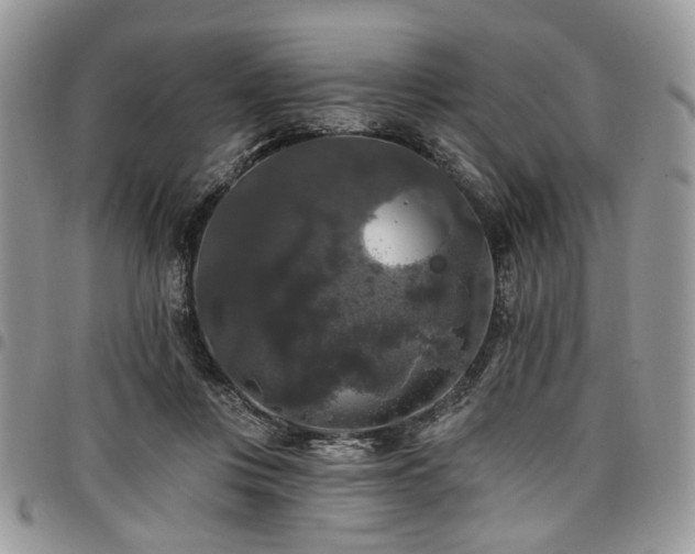 X0000098010359200803281317