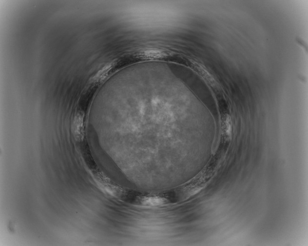 X0000098010360200803281317