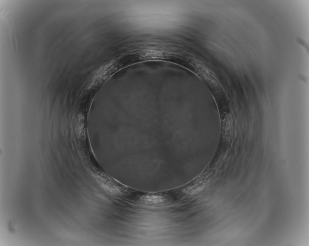 X0000098010361200803281317