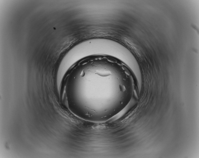 X0000098010362200803281317