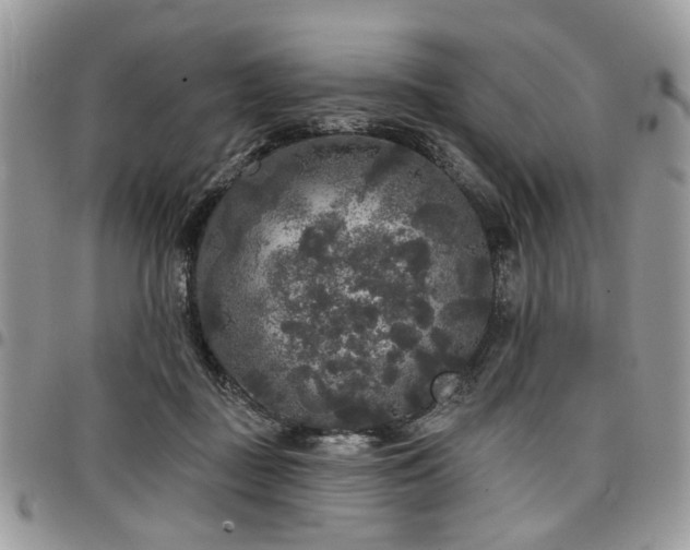 X0000098010363200803281317
