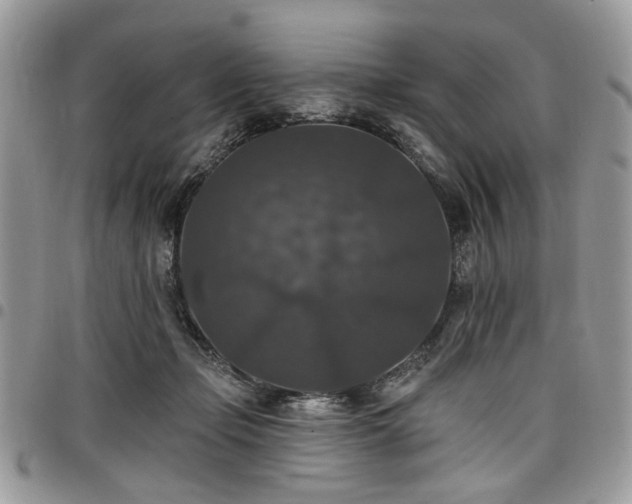 X0000098010365200803281317