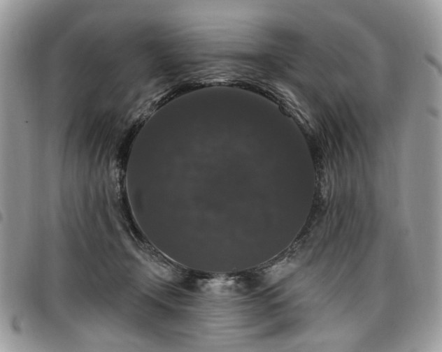 X0000098010366200803281317