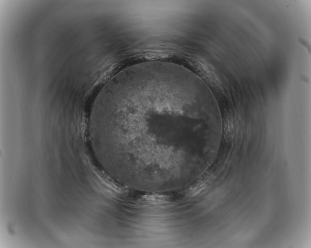 X0000098010367200803281317
