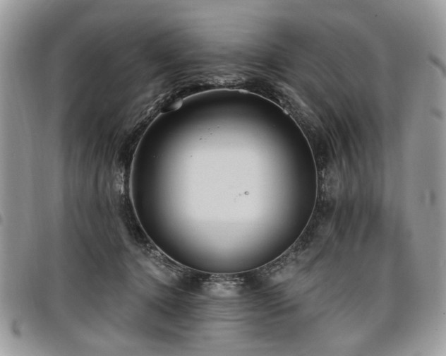 X0000098010368200803281317