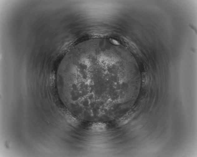 X0000098010369200803281317