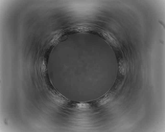 X0000098010371200803281317