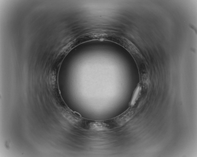 X0000098010372200803281317