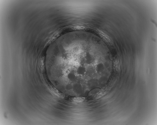 X0000098010373200803281317