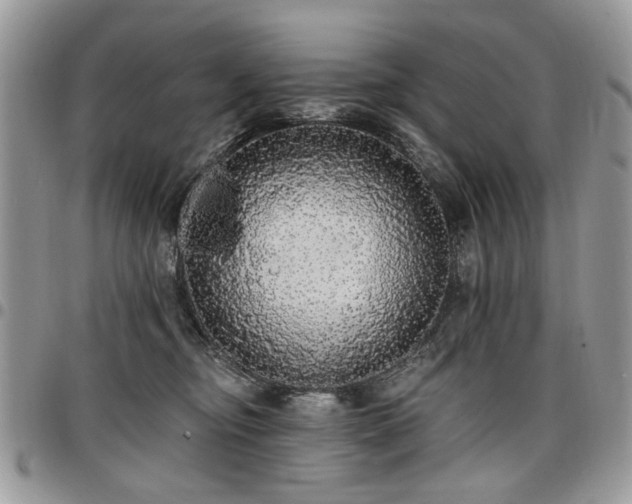 X0000098010374200803281317
